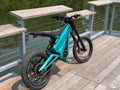 Talaria x3 frame guards