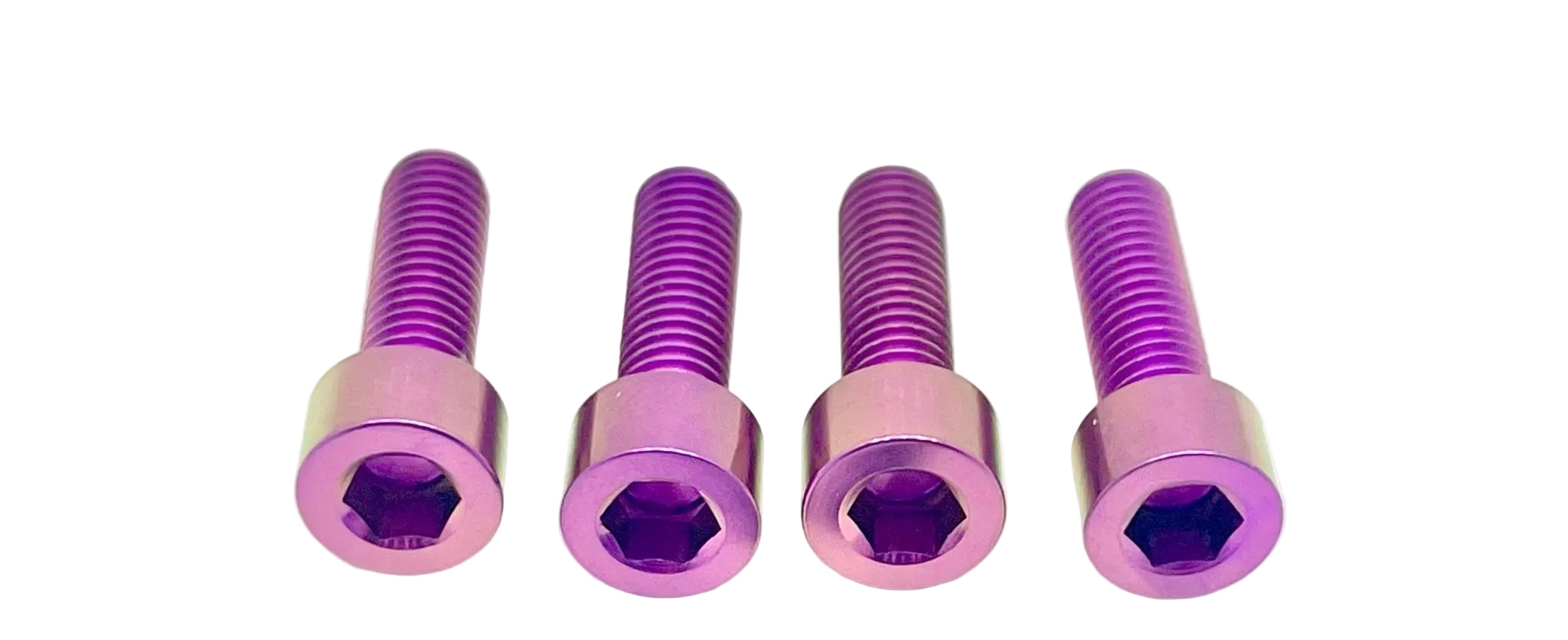 Titanium Axle Pinch Bolts for E-moto Forks