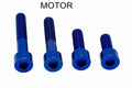 Titanium Motor Bolts - E-Ride Pro (all models)